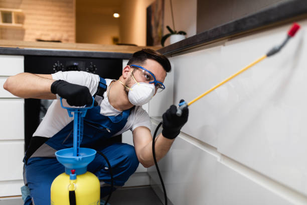 Best Pest Prevention Services  in Lonoke, AR