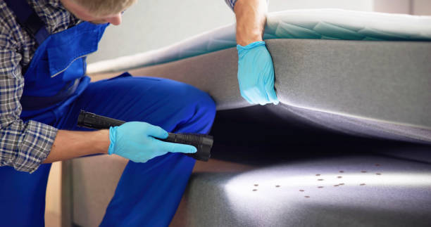 Best Mosquito Control Services  in Lonoke, AR